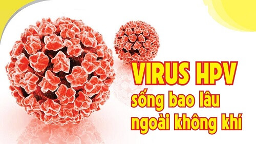 Virus HPV tồn tại trong một khoảng thời gian rất ngắn ngoài môi trường